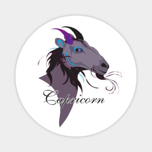 Starlight Capricorn Magnet